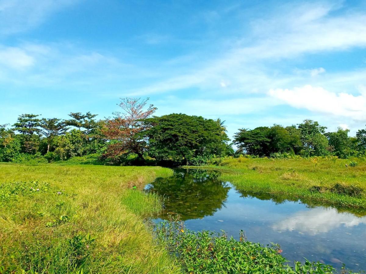 Villa Eliza Ecofarm Tibiao Exterior foto